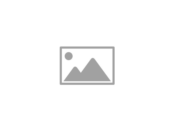 456 Oak Ave, Dallas, TX 75201 1